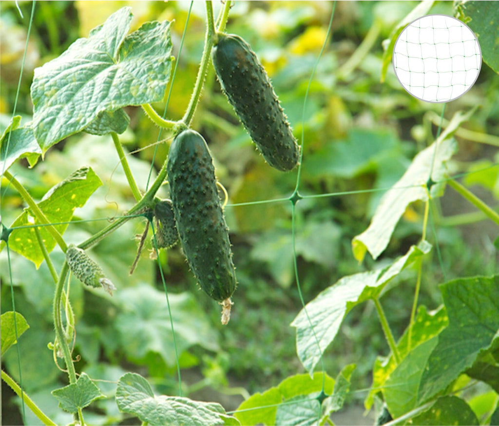 Plasa plante cataratoare alba Italia 2,04 m inaltime