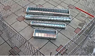 Hranitor porumbei 50 cm