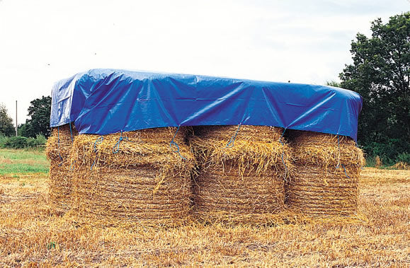 Prelata tarp 60 gr/mp albastra