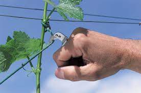 Cutit inel 24 cm Gielle