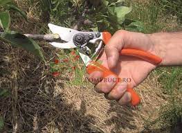 Foarfeca profi taiere Baypass 22 mm