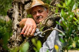 Foarfeca profesionala Classic Light 21 V