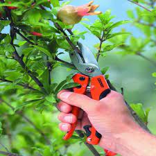 Foarfeca Stoker 19 mm tip nicovala