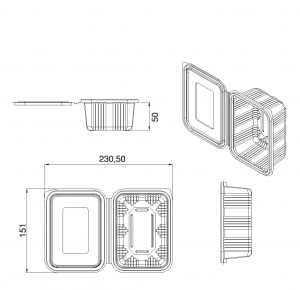 Caserole fructe 250 gr cu capac