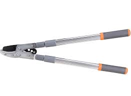 Foarfeca pomi tip baypas cu manere telescopice