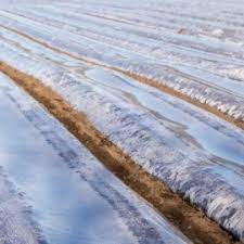 Folie de mulcire transparenta un sezon