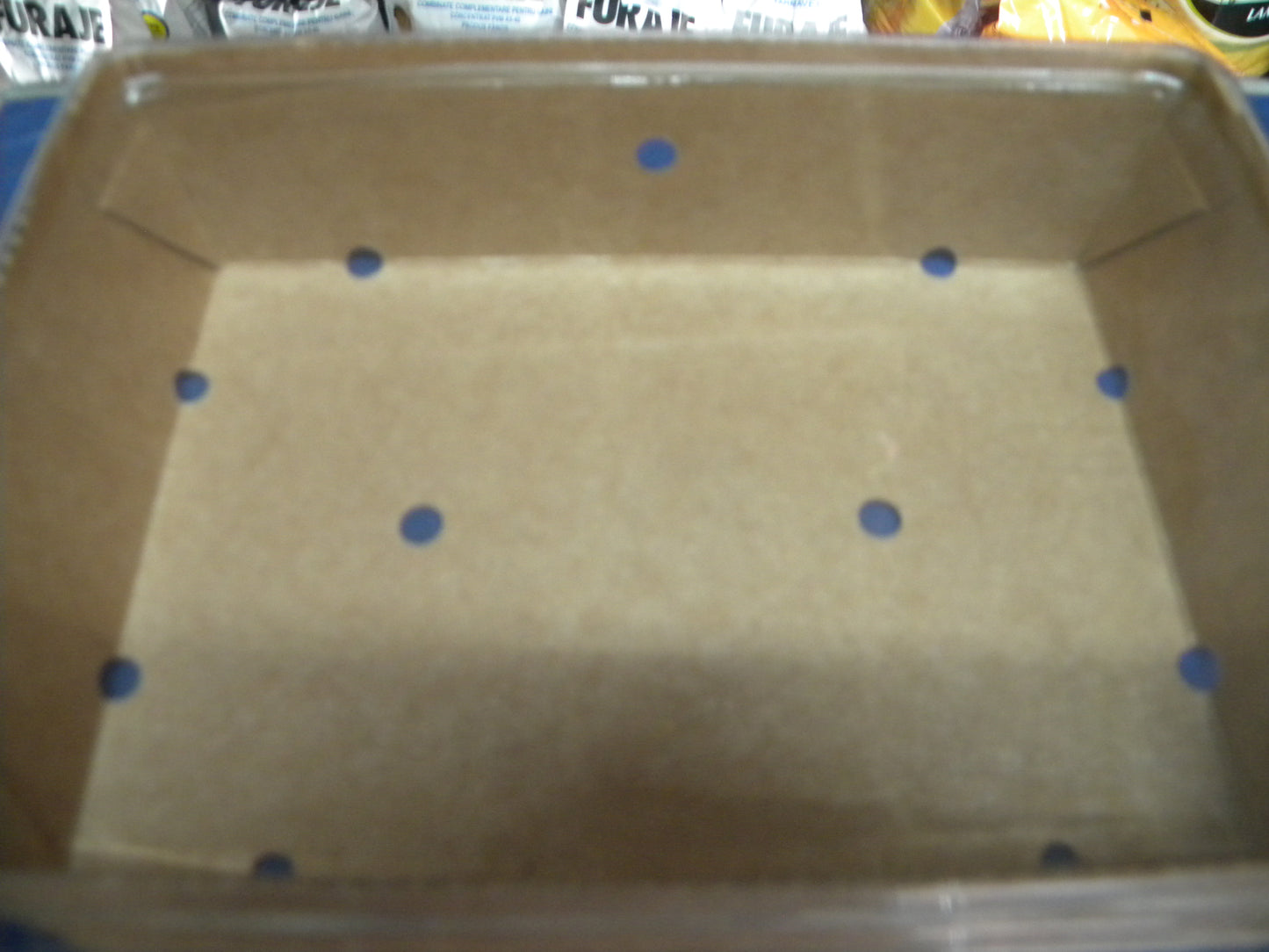 caserola carton