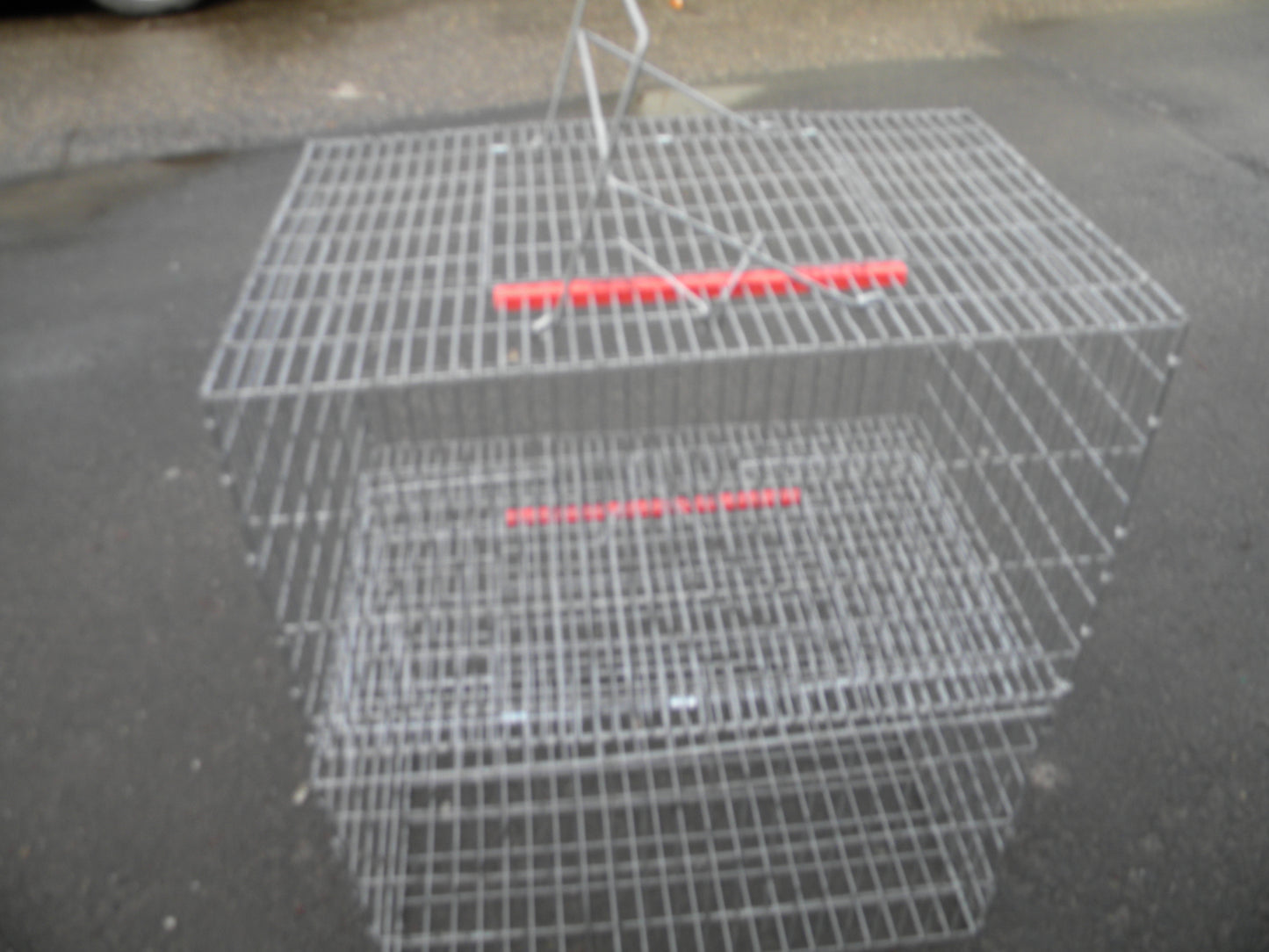 Cusca transport 40 cm D6