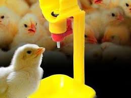 Adapator pasari automat cu niplu si tavita