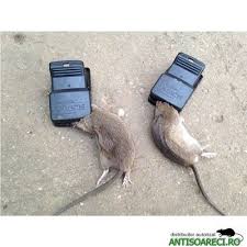 Capcana soreci din plastic model mic