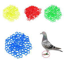 Set 50 buc inele porumbei 8x5mm