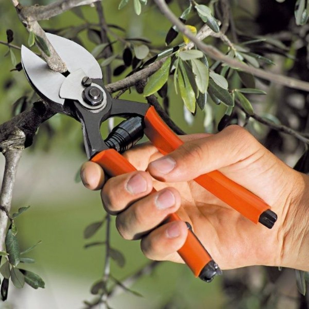 Foarfeca profesionala Ergo Light 21 V