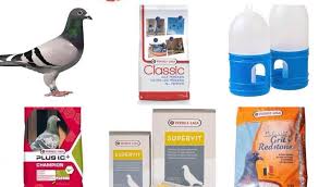 Hrana porumbei Versele Laga All around 20 kg