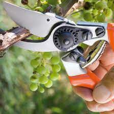 Foarfeca profesionala pentru taiere 22