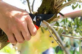 Foarfeca de gradina tip nicovala, 20 cm, lama teflonata