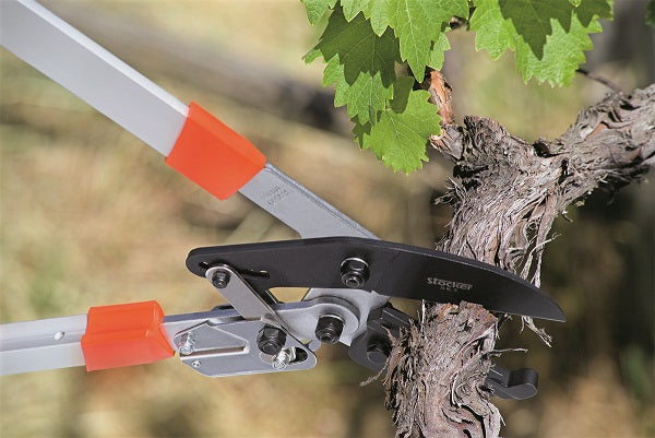 Cleste cu clichet pentru taiat crengi, cu maner telescopic 75 - 100 cm