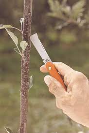 Briceag altoire Stoker