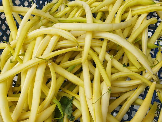 Fasole fideluta galbena Fruidor