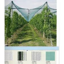 Plasa antigrindina Italia latime 1 m