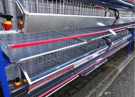 Cusca prepelite 50 pasari 90 cm