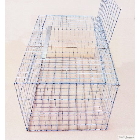 Cusca transport 60 cm D6