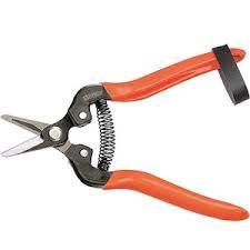 Foarfeca recoltat profi recoltat Stoker 16,5 cm