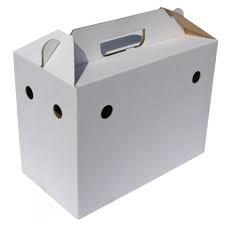 Cusca transport pliabila din carton  