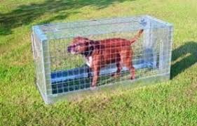 Capcana capturare si relocare caini vii