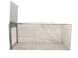 Capcana ecologica captura vie