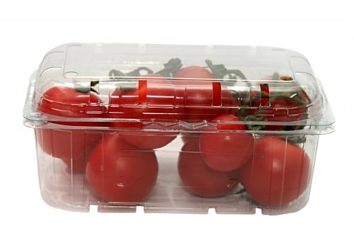 Caserole fructe cu capac 500g