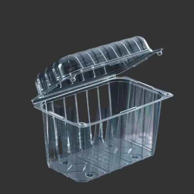 Caserole fructe 1kg cu capac perforate