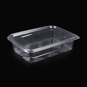 Caserole alimente cu capac plat 