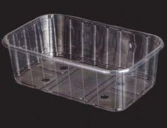 Caserole fructe 500g fara capac perforate