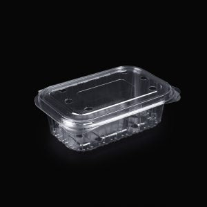 Caserole fructe 250g cu capac plat perforate