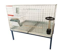 Cusca crestere iepuri urias tineret