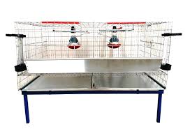 Cusca crestere pui cu incalzire