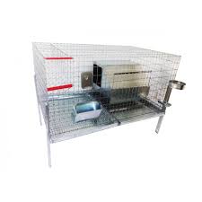 Cusca crestere epuri complet dotata 