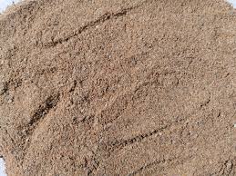 Drojdie de bere uscata