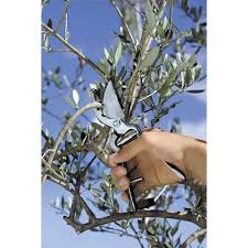 Foarfeca pomi Stoker 19mm