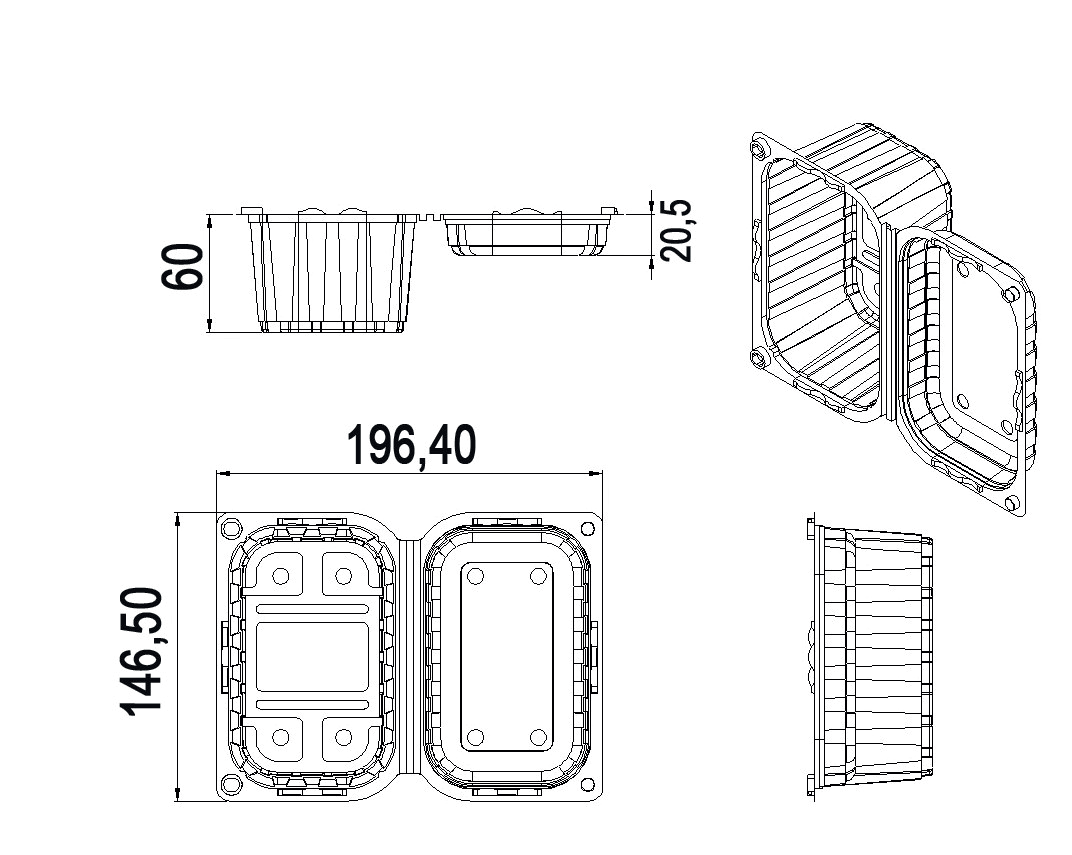 Caserole fructe 250g u capac
