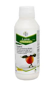 fungicid Luna Experience 1 L
