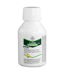 fungcid luna experience