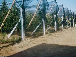 Plasa antigrindina Arrigoni