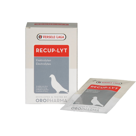 Vitamine recuperare porumbei Recup Lyt